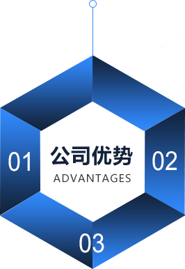 公司优势 公司优势